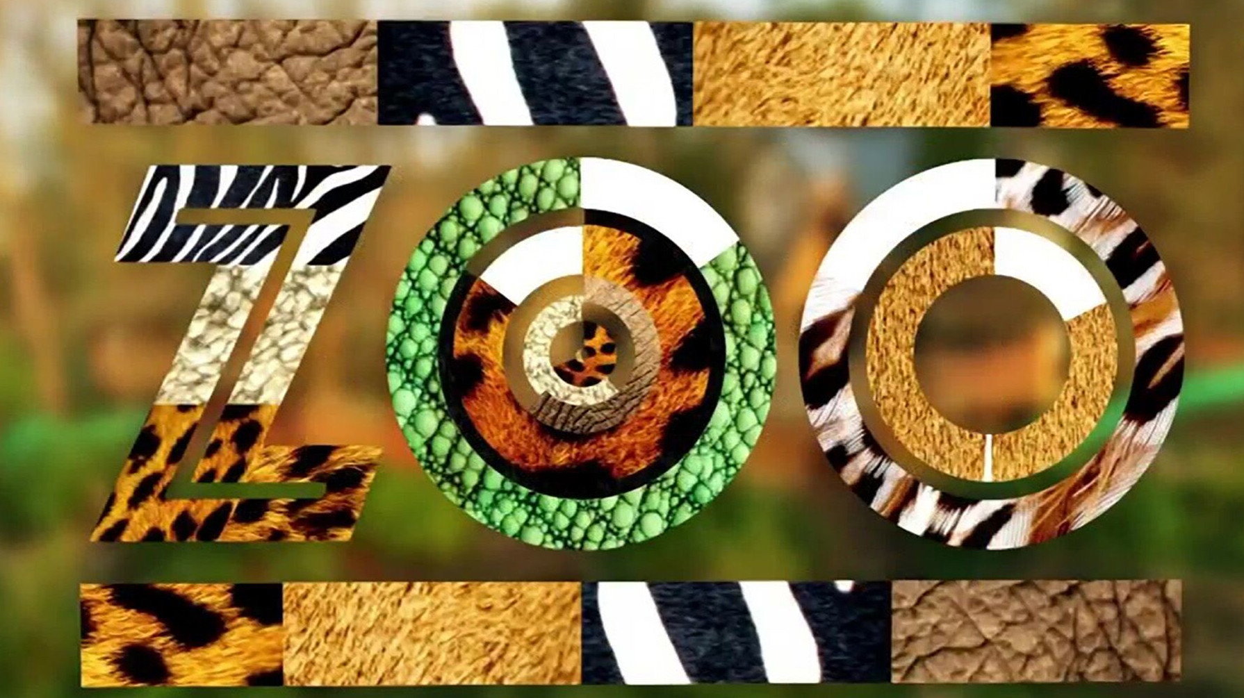 Une saison au zoo's poster