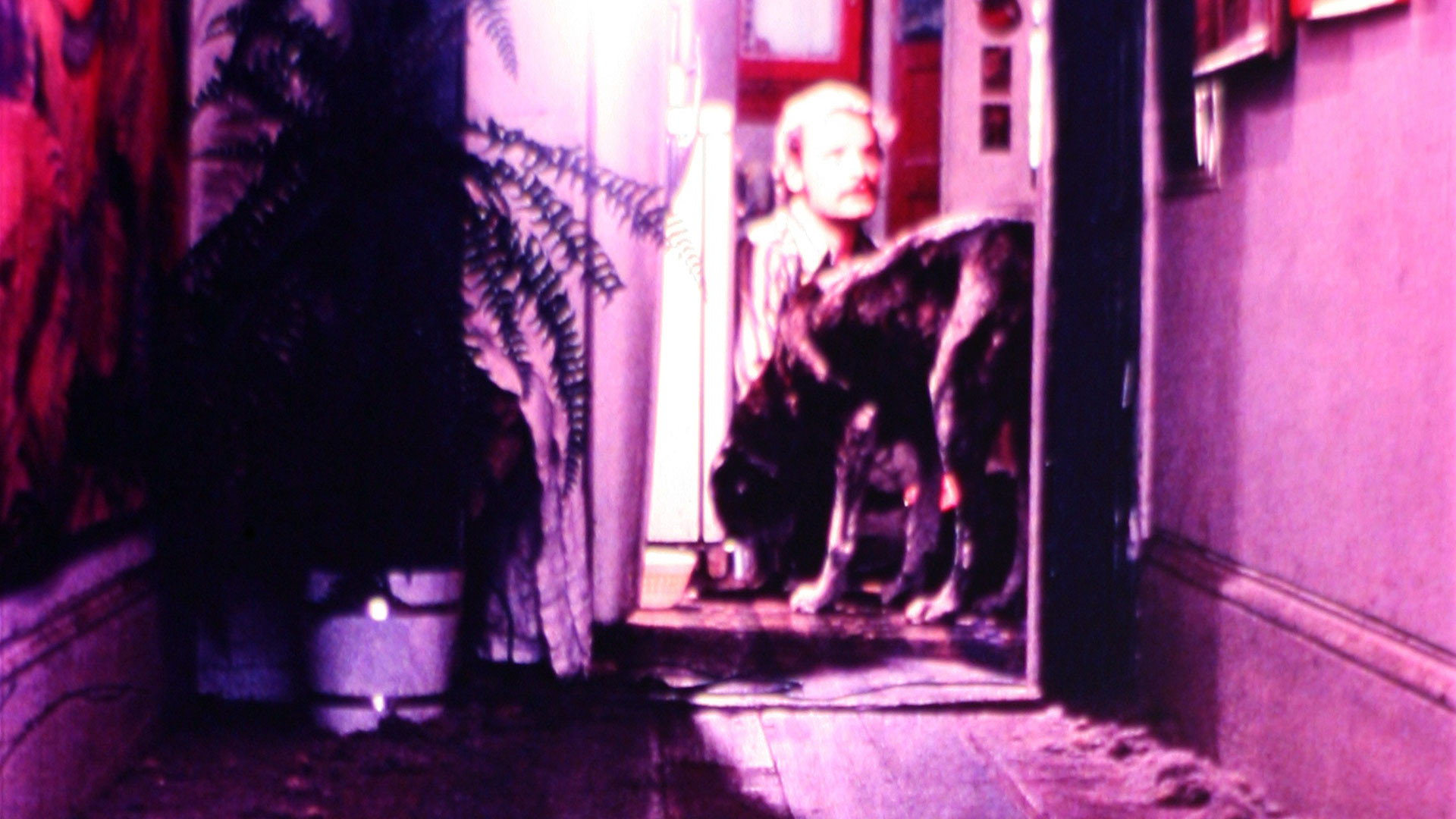 The Mongreloid's poster