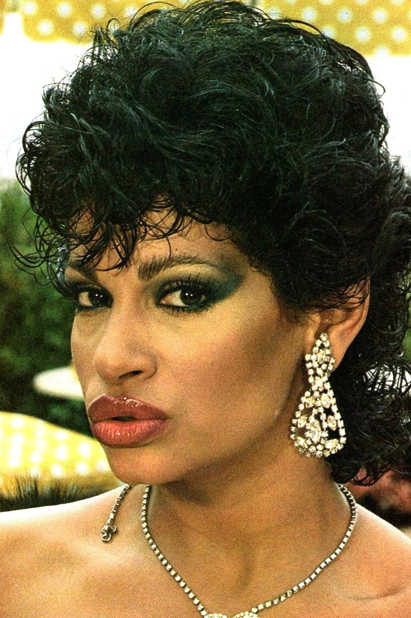 Vanessa del Rio's poster