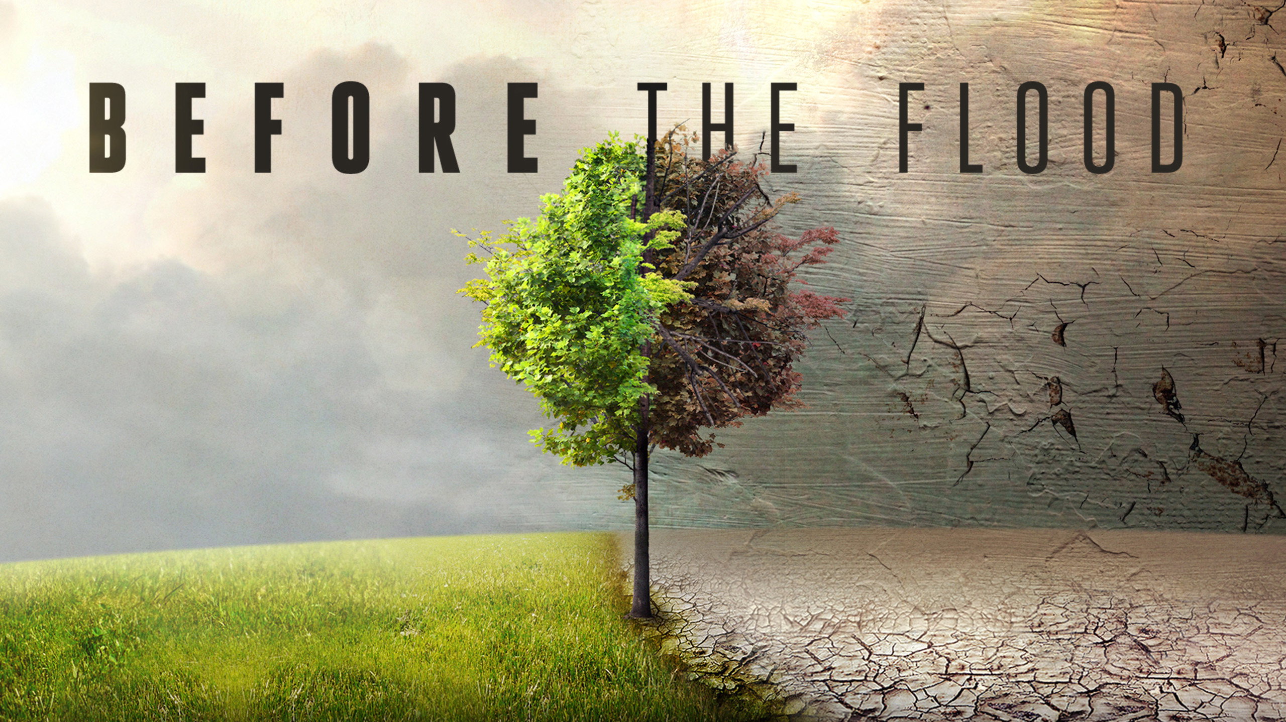 Before the Flood's poster