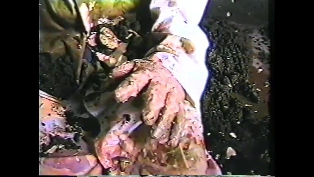 Gore Galore!!!'s poster