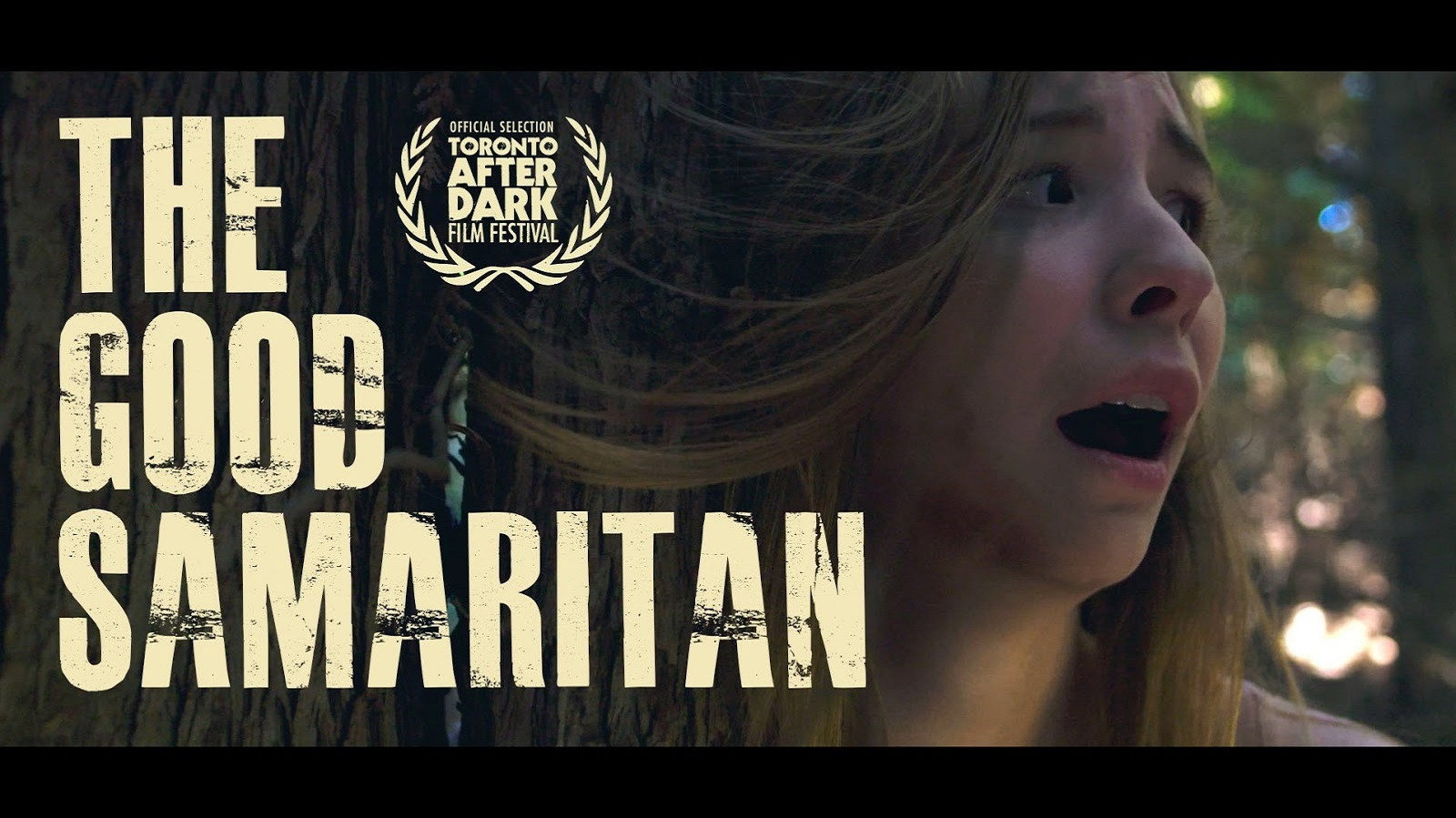 The Good Samaritan's poster
