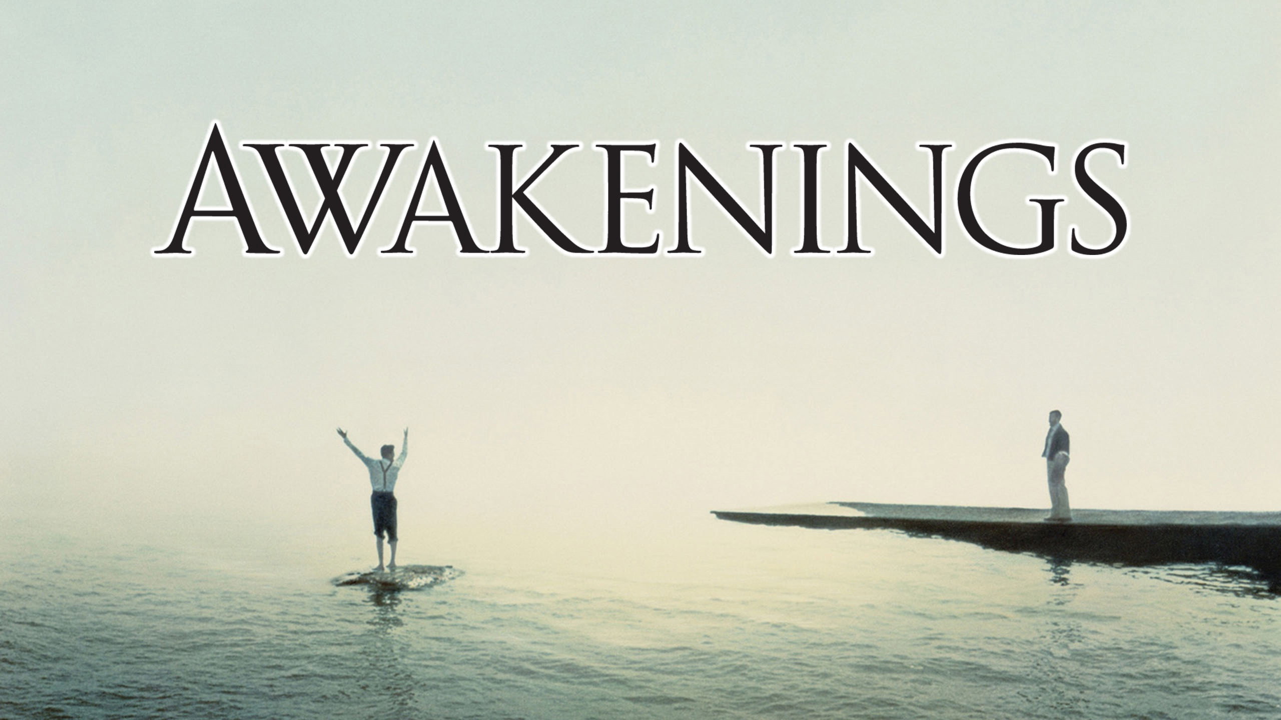 Awakenings's poster