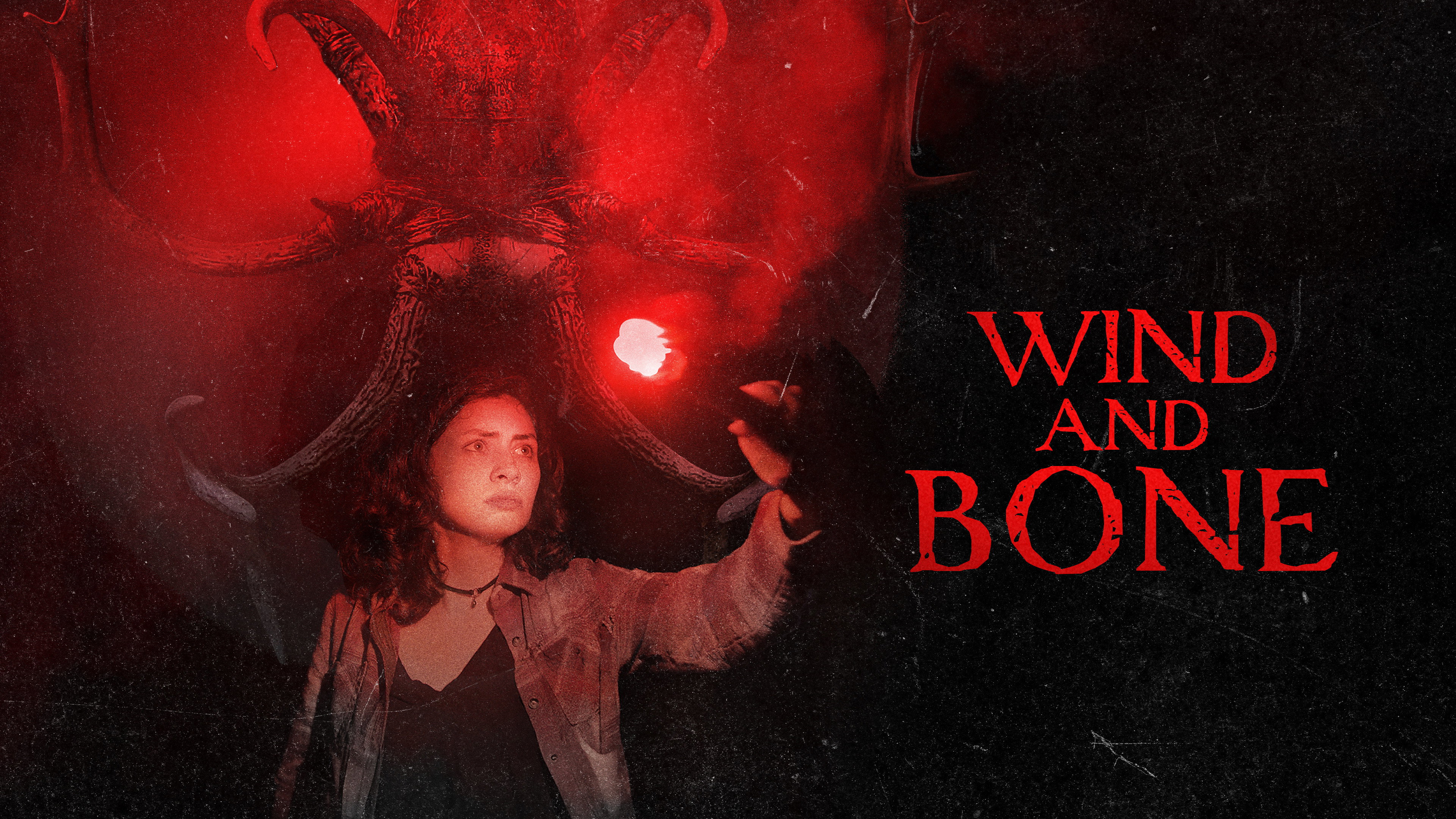 Wind and Bone's poster