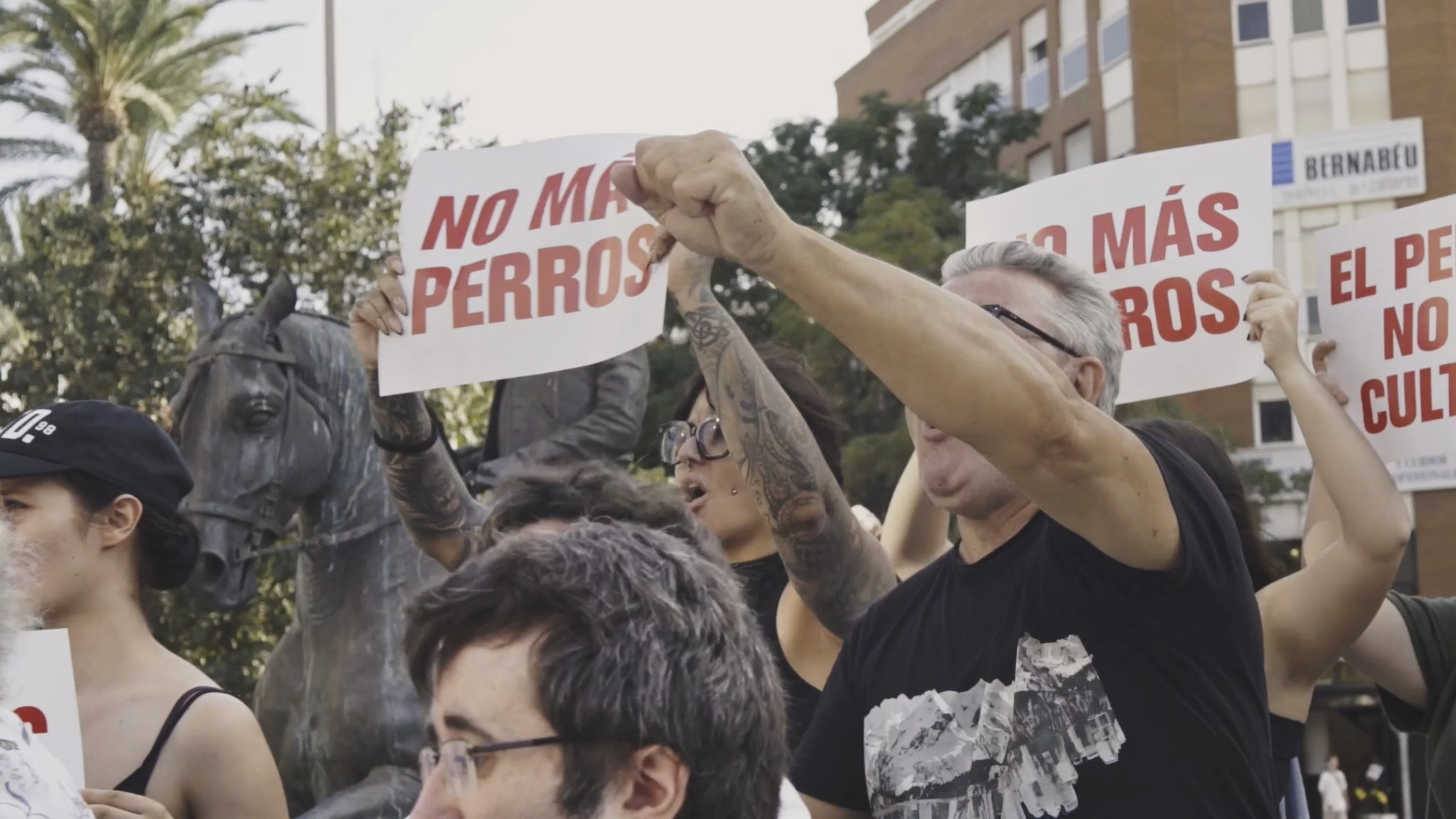 Perromaquia's poster