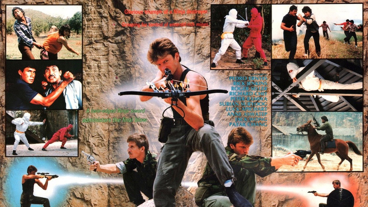 Ninja Destroyer's poster