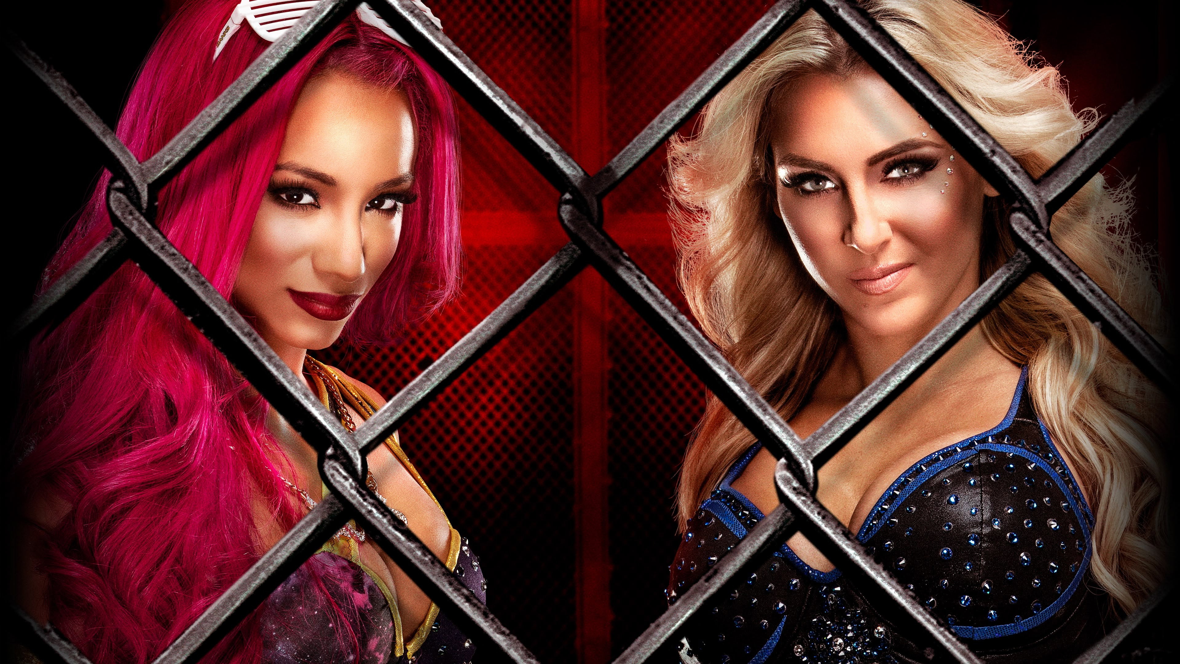 WWE Hell in a Cell 2016's poster