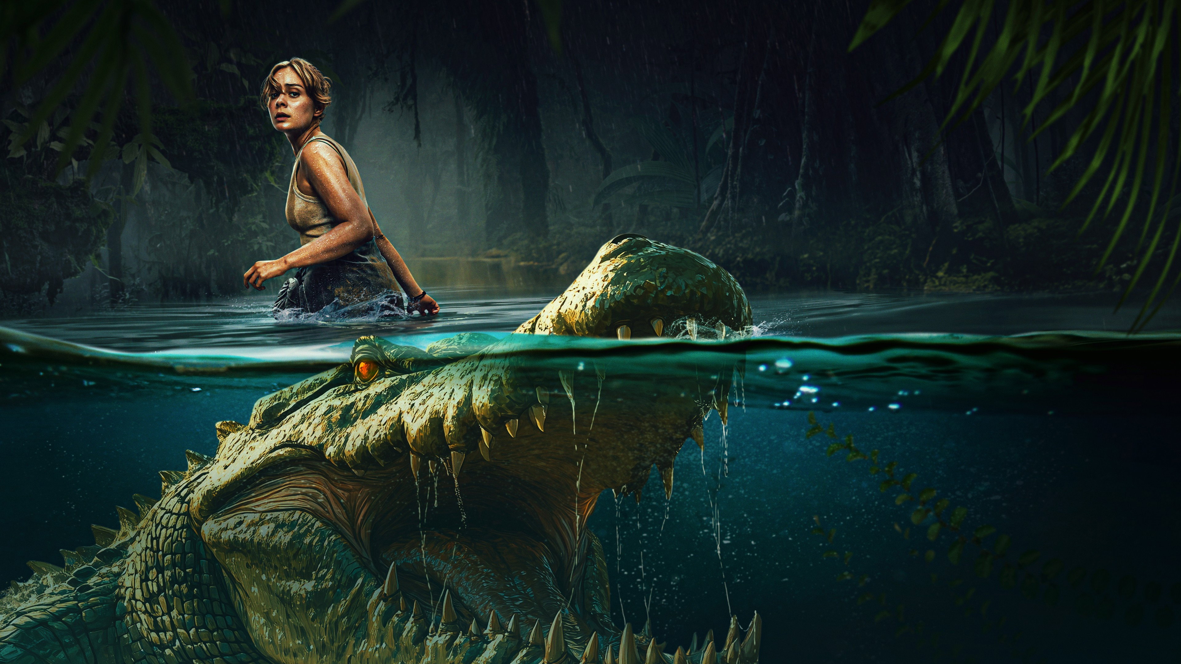 The Bayou's poster