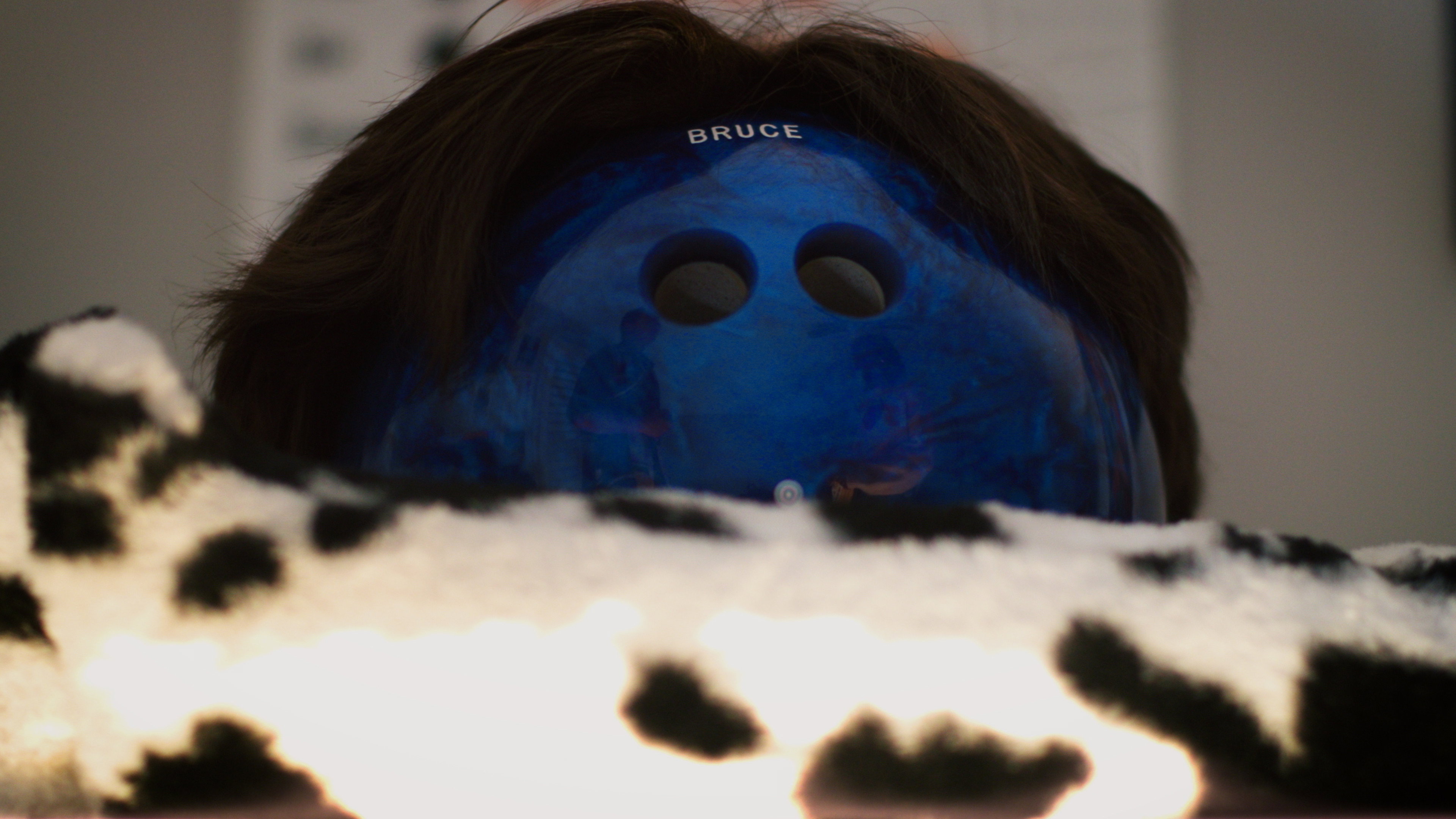 Bowling Bruce's poster