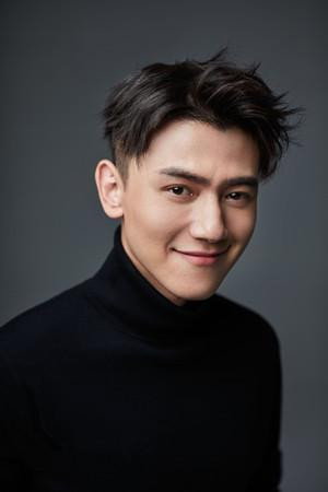 He Lei's poster