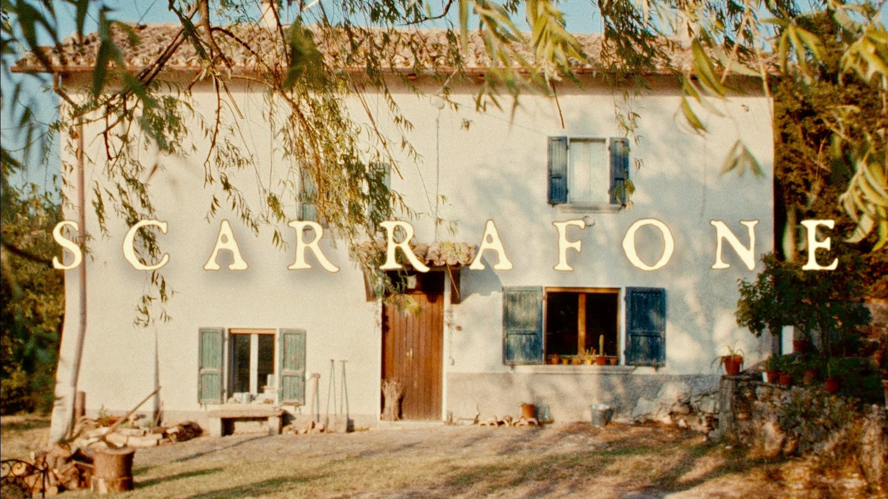 Scarrafone's poster