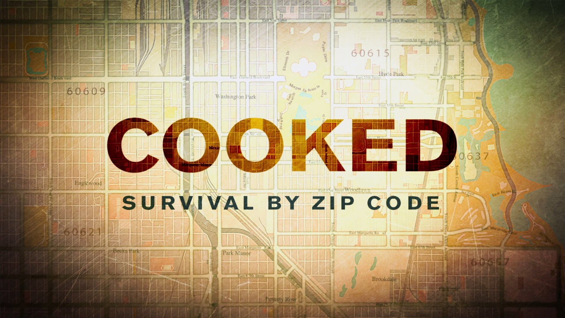 Cooked: Survival by Zip Code's poster