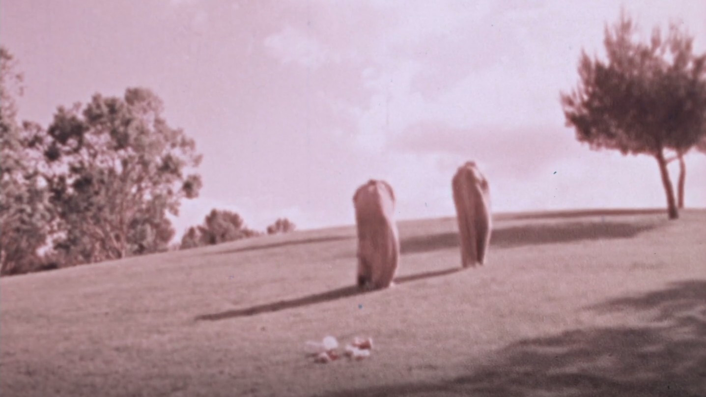 The Baggs's poster