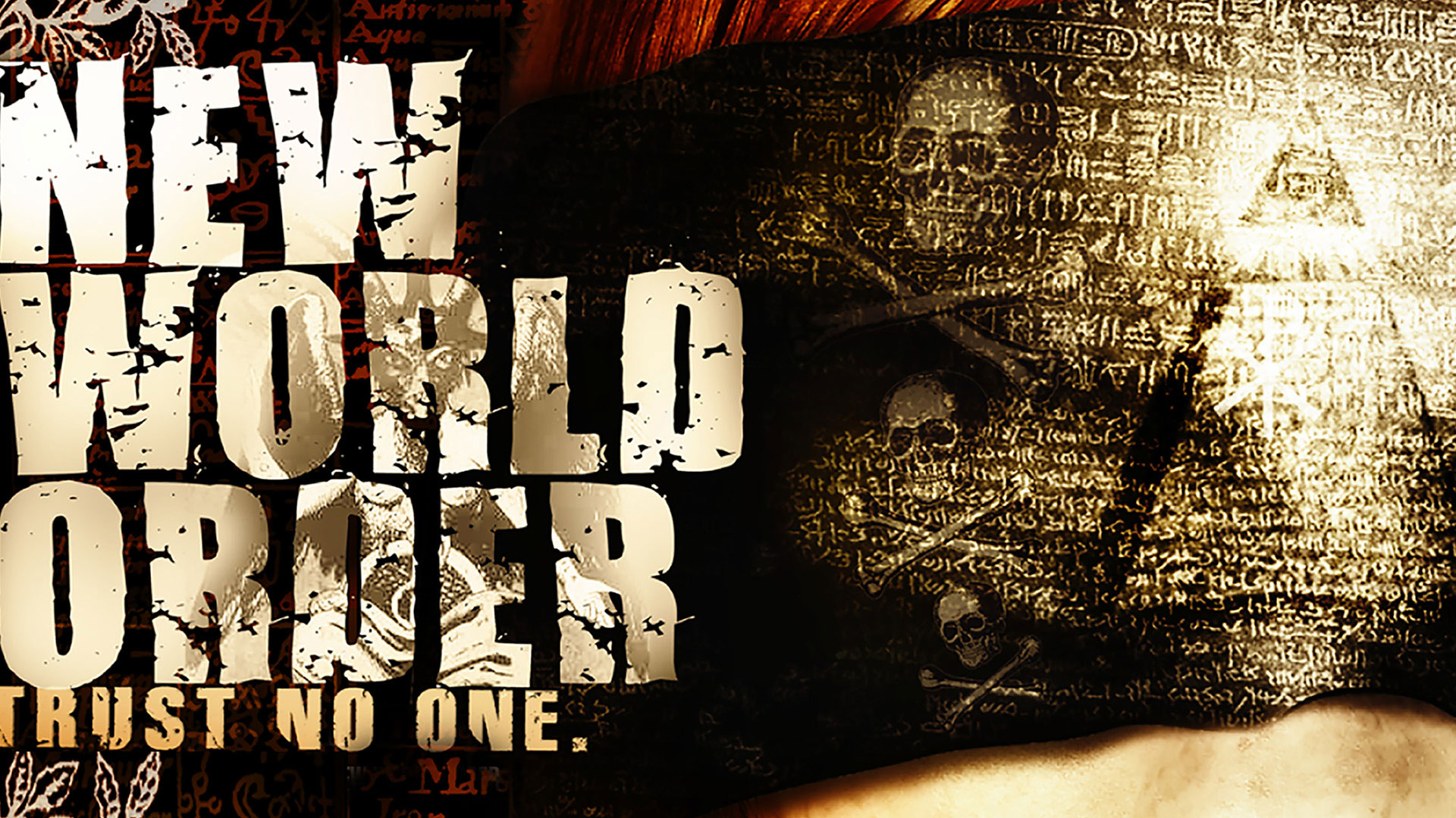 New World Order's poster