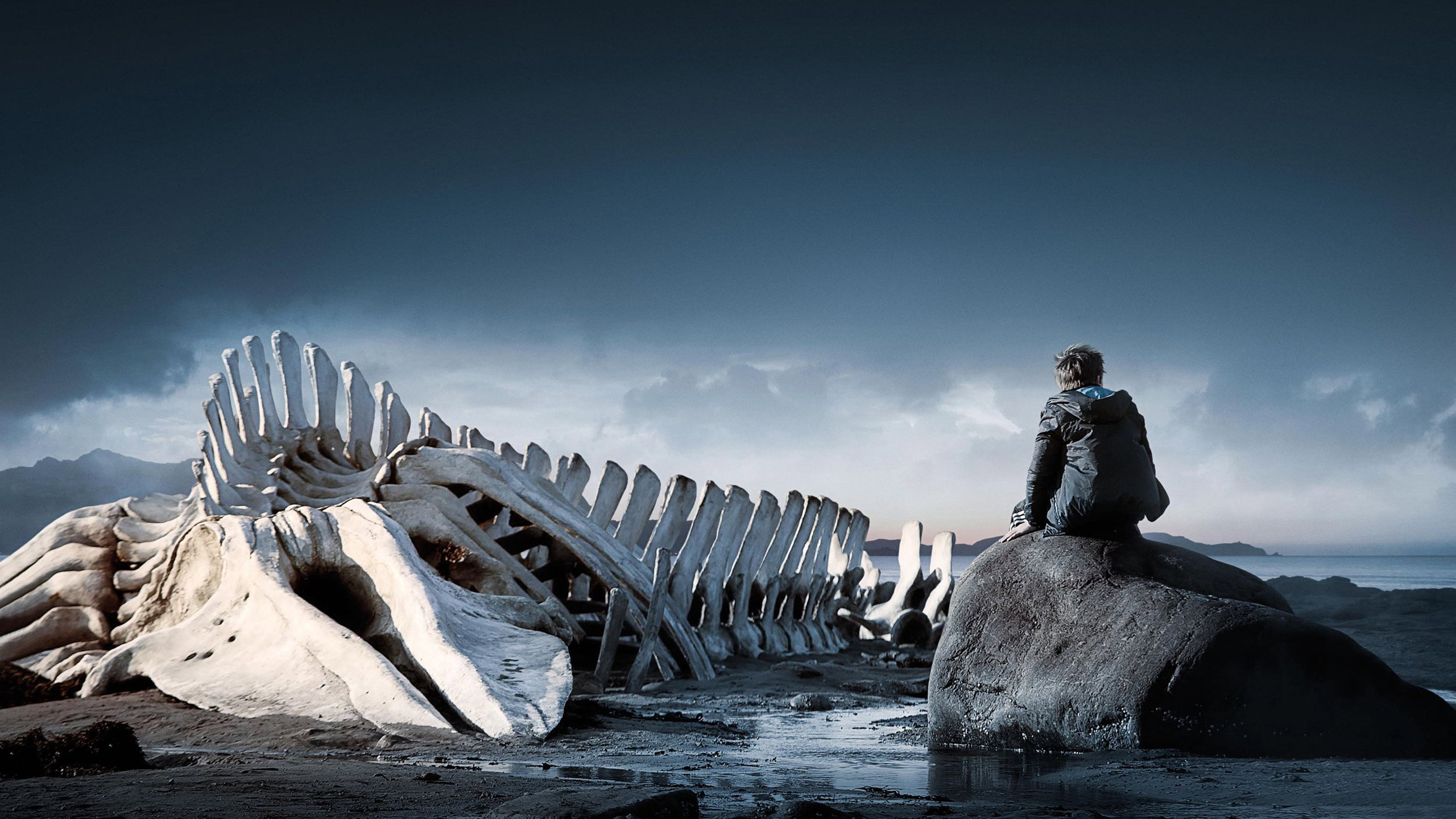 Leviathan's poster