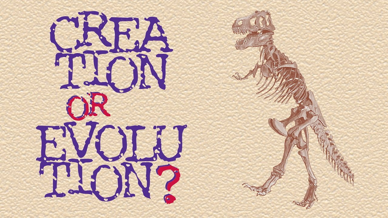 Creation or Evolution?'s poster
