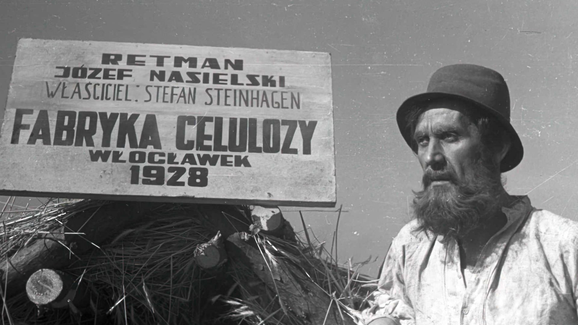 Cellulose's poster