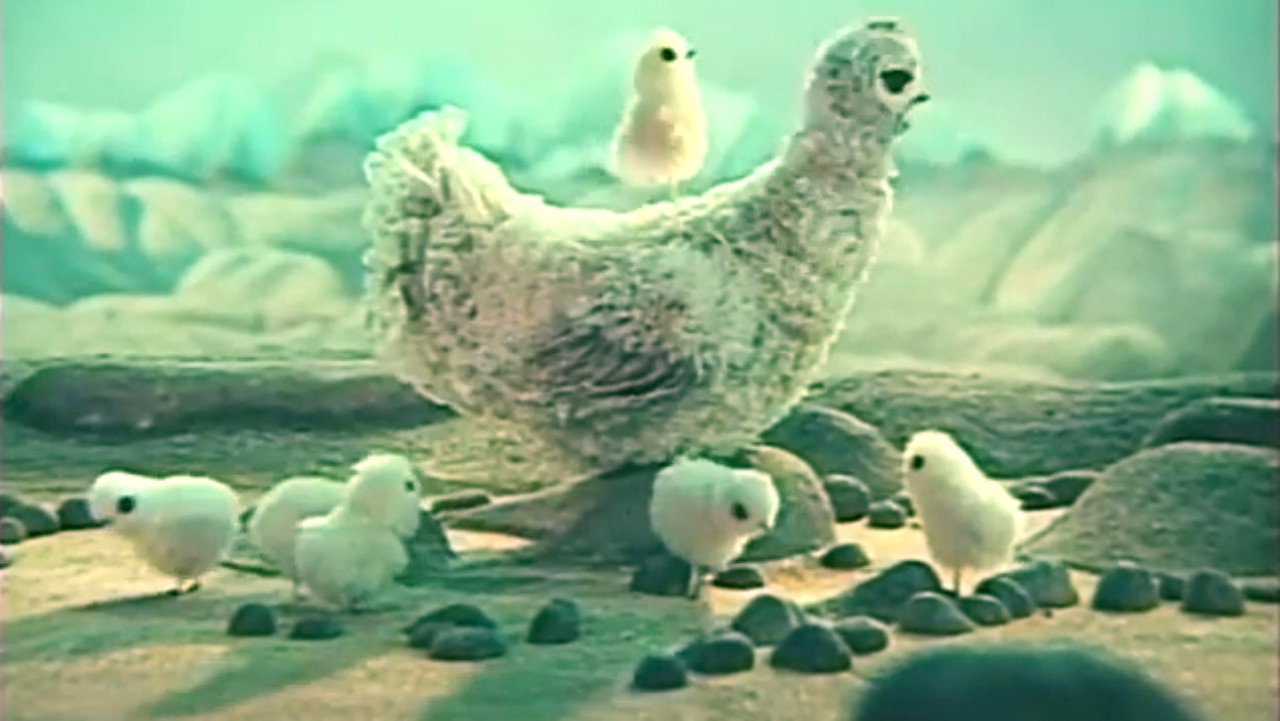 Little Chicken's poster