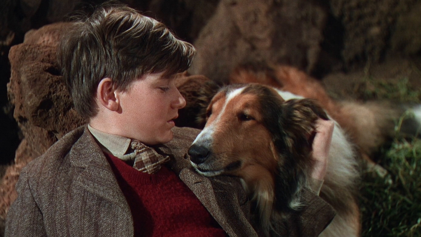 Lassie Come Home's poster