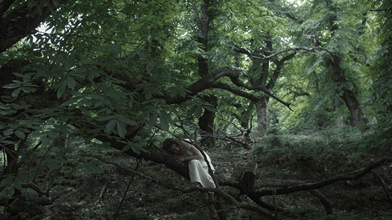Entwined's poster