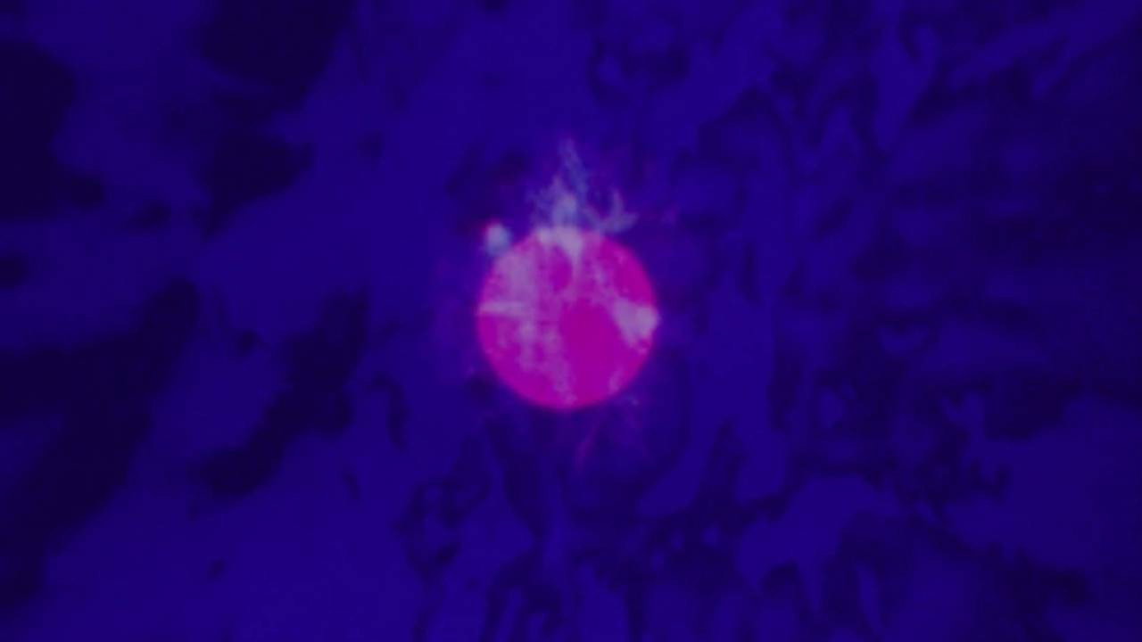 LSD's poster