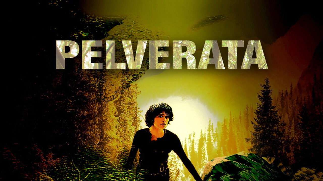 Pelverata's poster