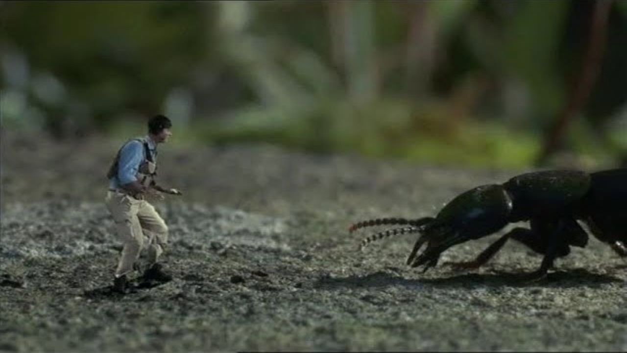 Help! I'm No Bigger Than a Bug's poster