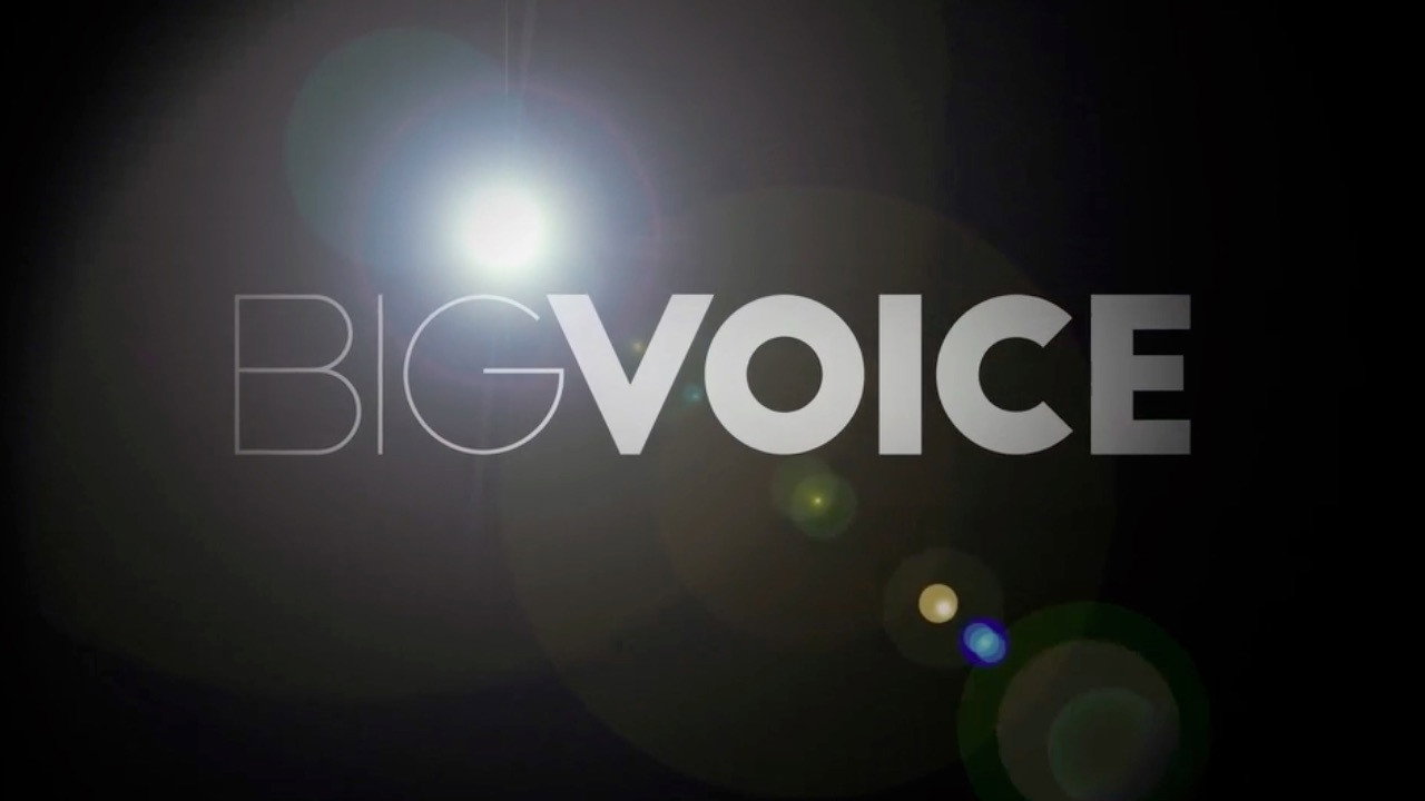 Big Voice's poster