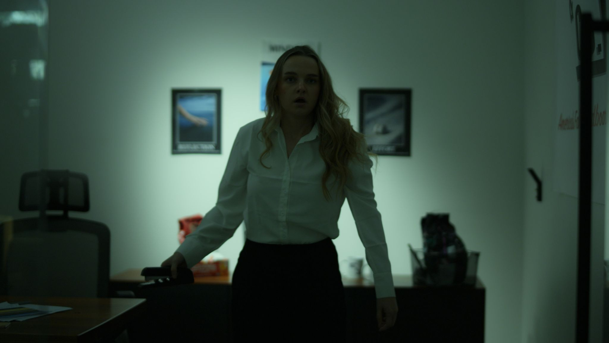 Ally vs the Dead's poster