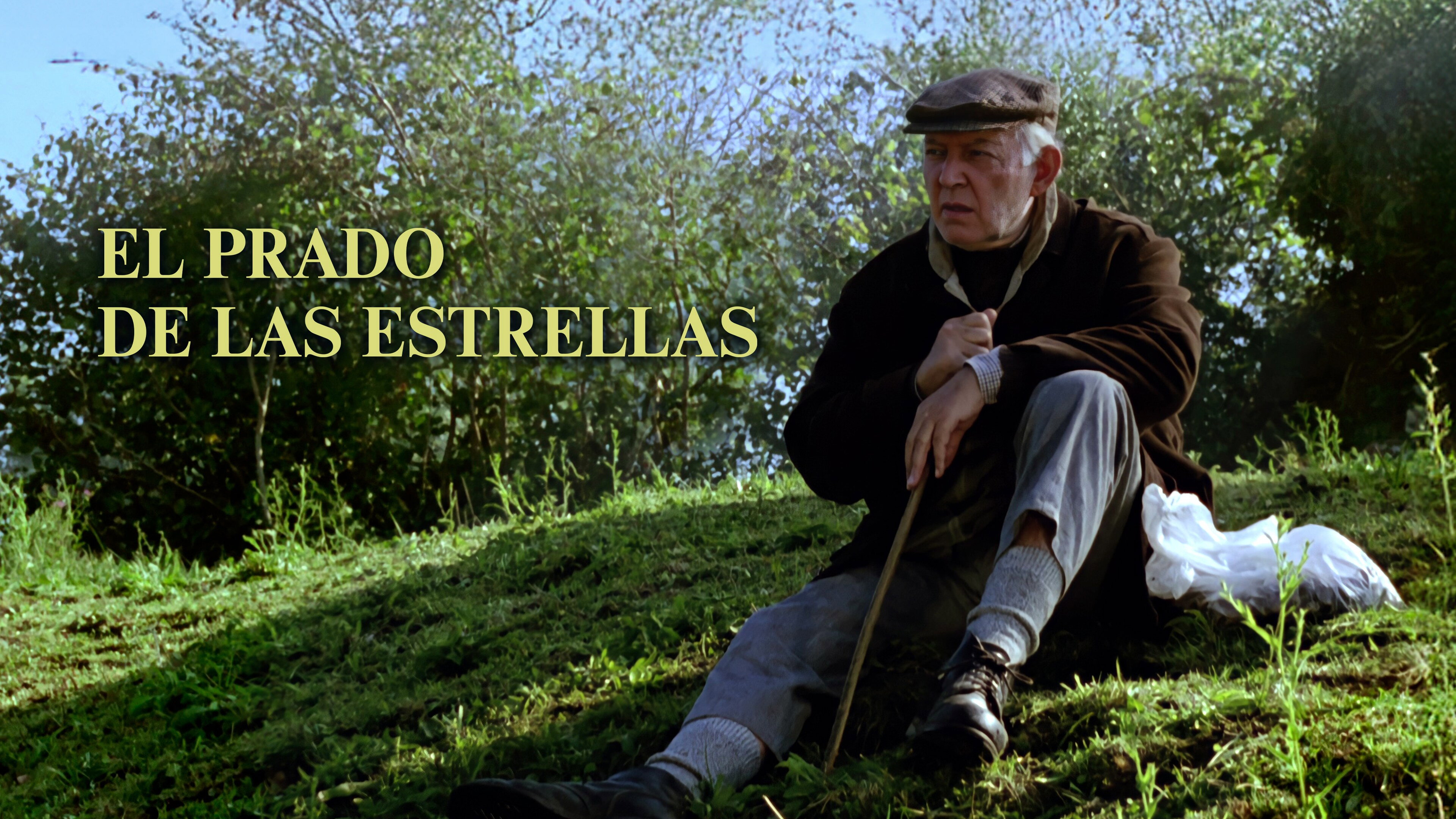 El prado de las estrellas's poster