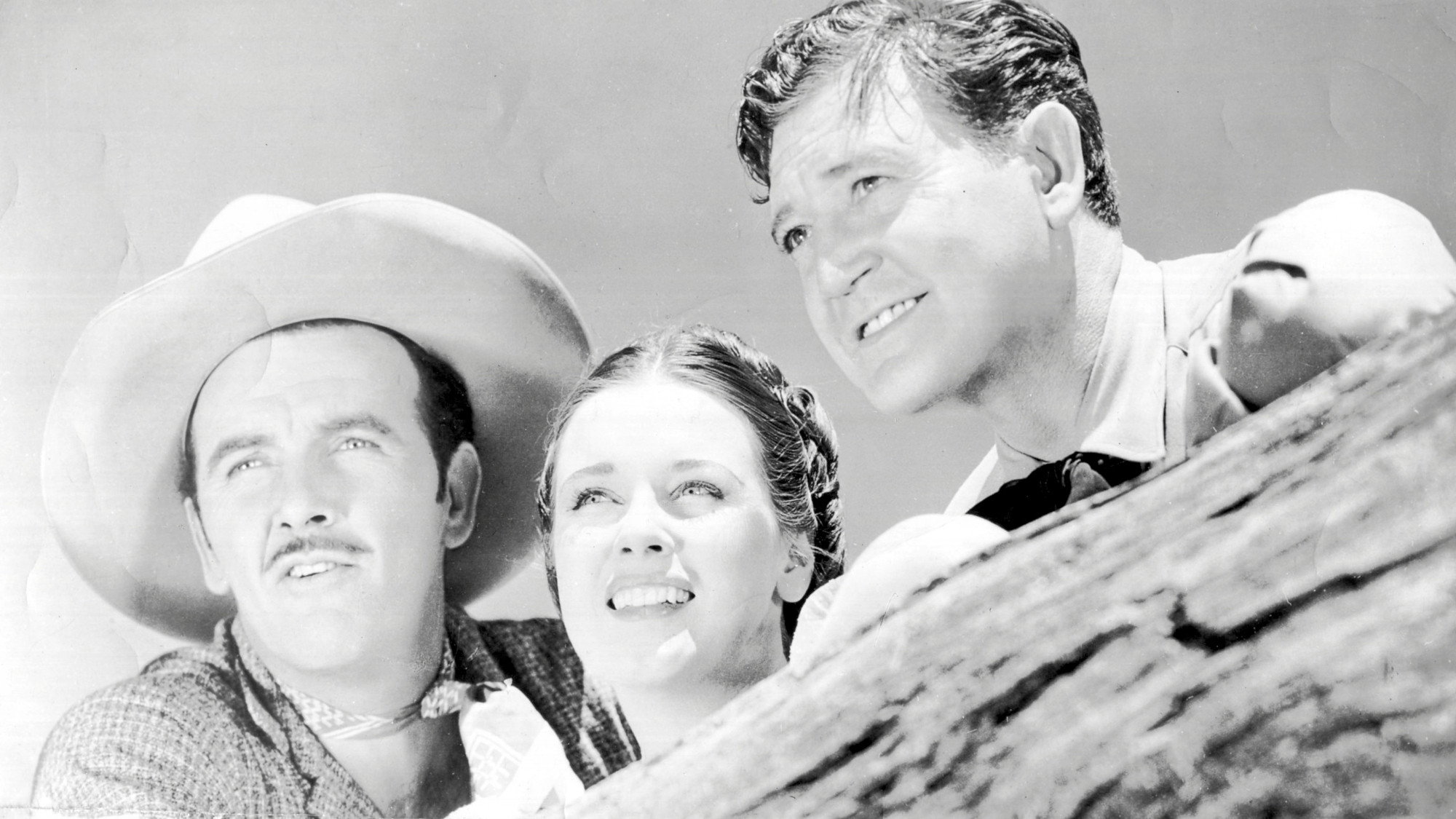 The Roundup's poster