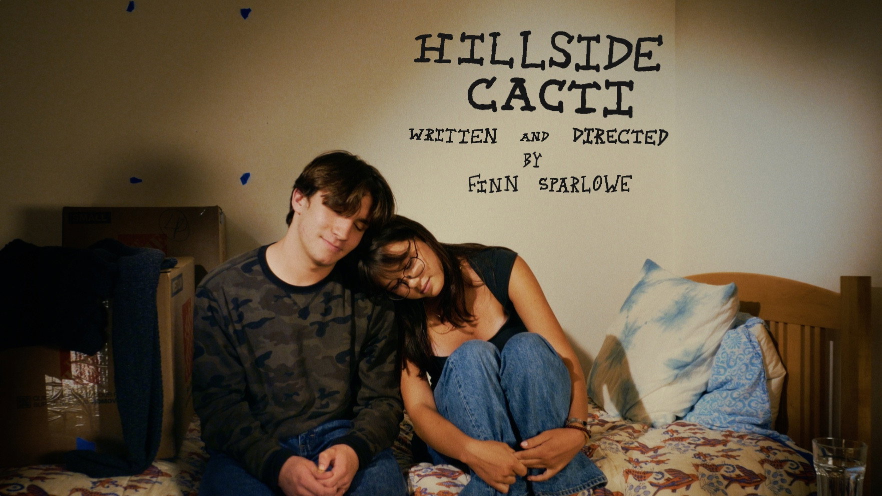 Hillside Cacti's poster