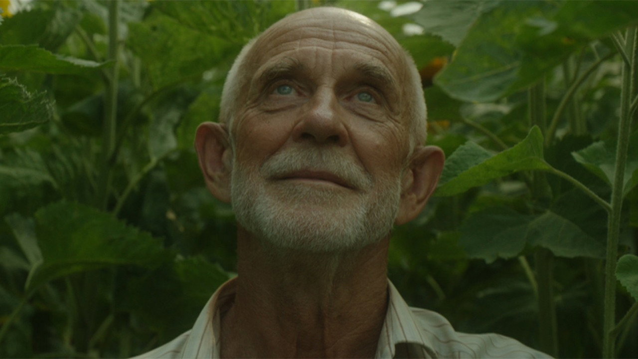 The Gardener's poster