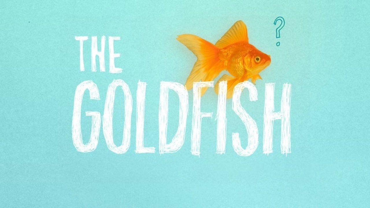 The Goldfish's poster