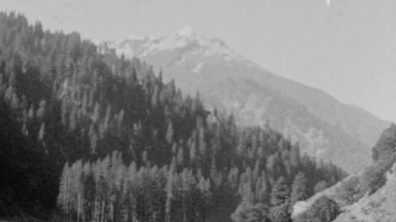 Kagan Valley's poster