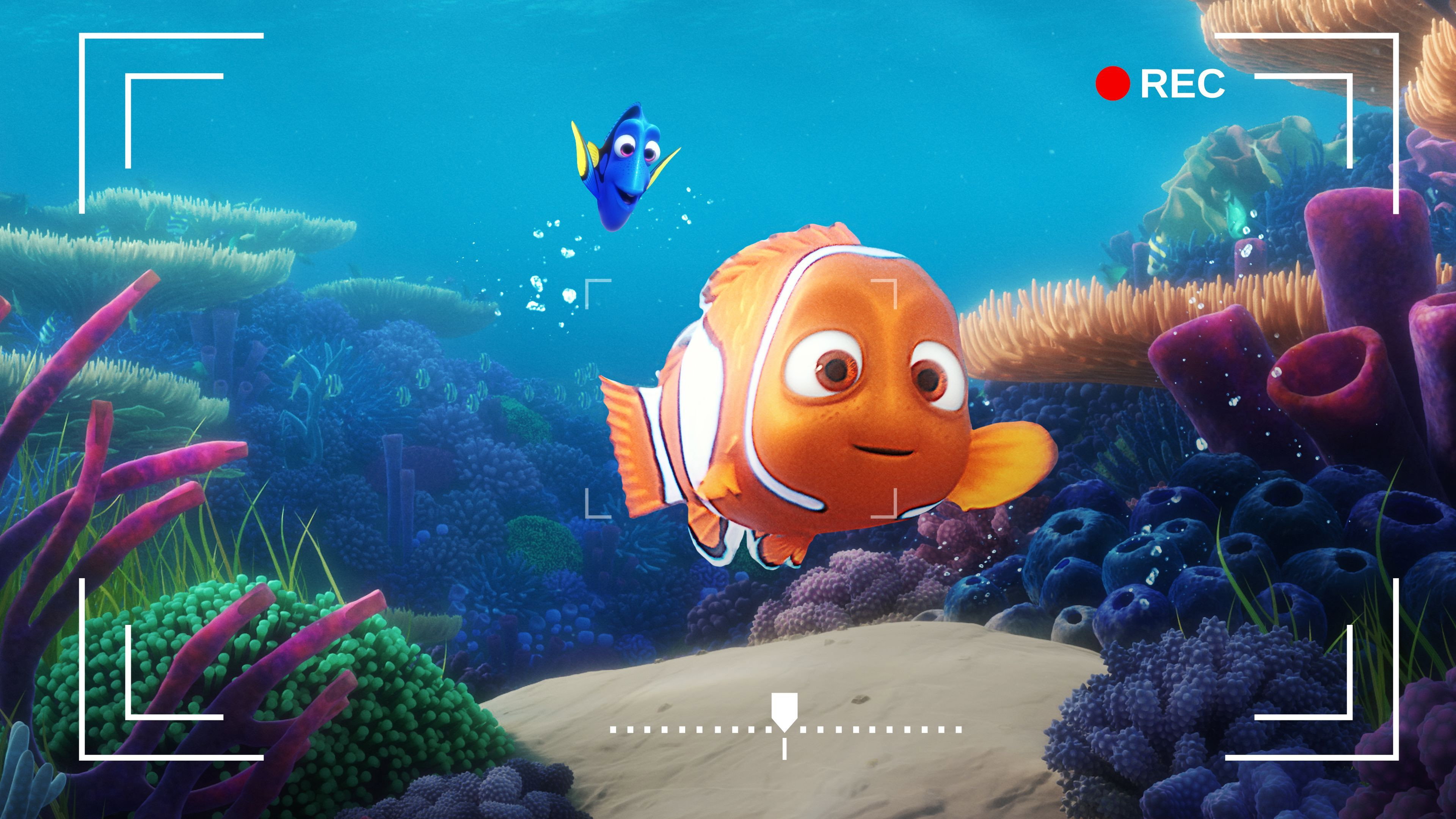 Dory's Reef Cam's poster