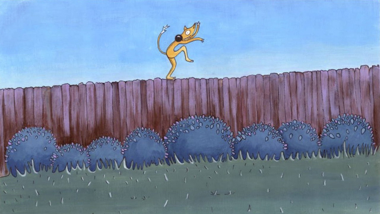 Crazy Fox's poster