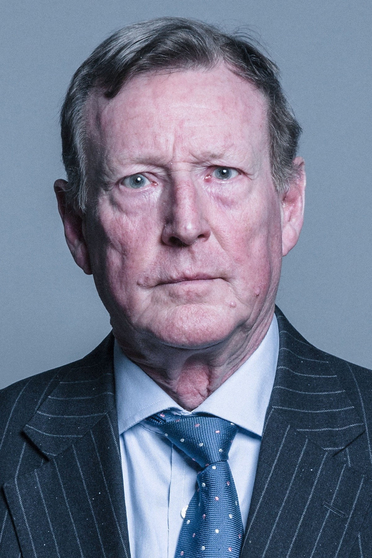 David Trimble's poster