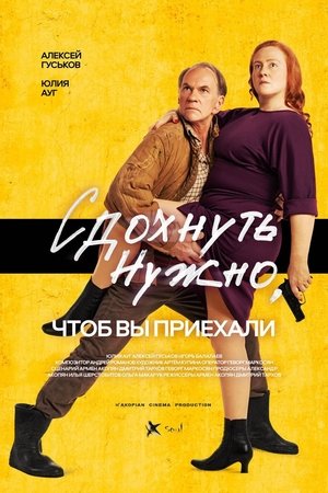 Poster Image