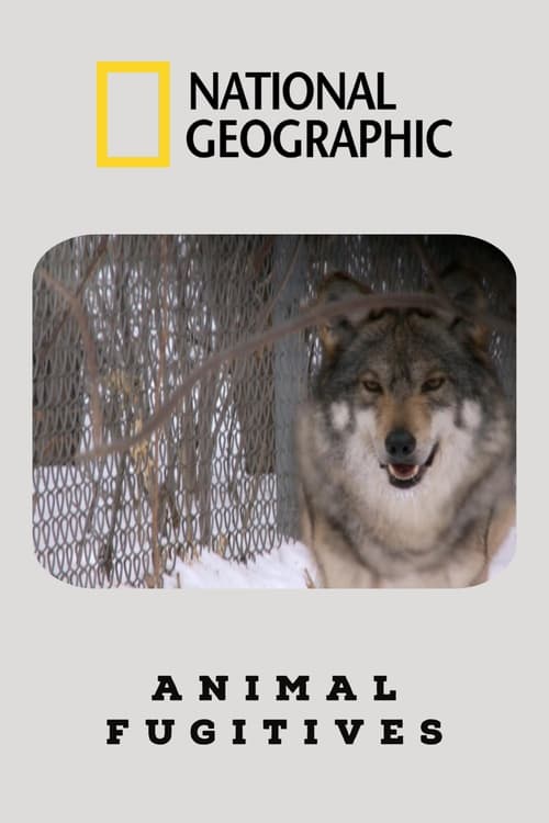 Animal Fugitives (2011)