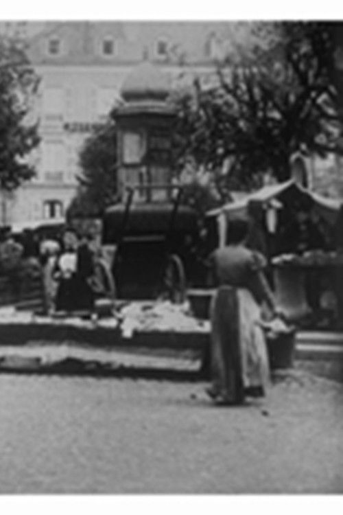 Pau : la place du marché