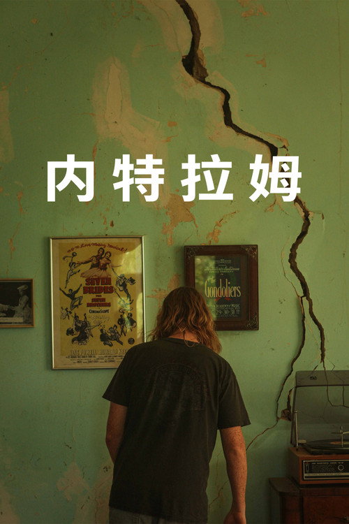 内特拉姆