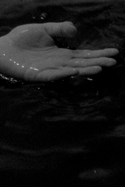 Write Your Sunlight on My Skin