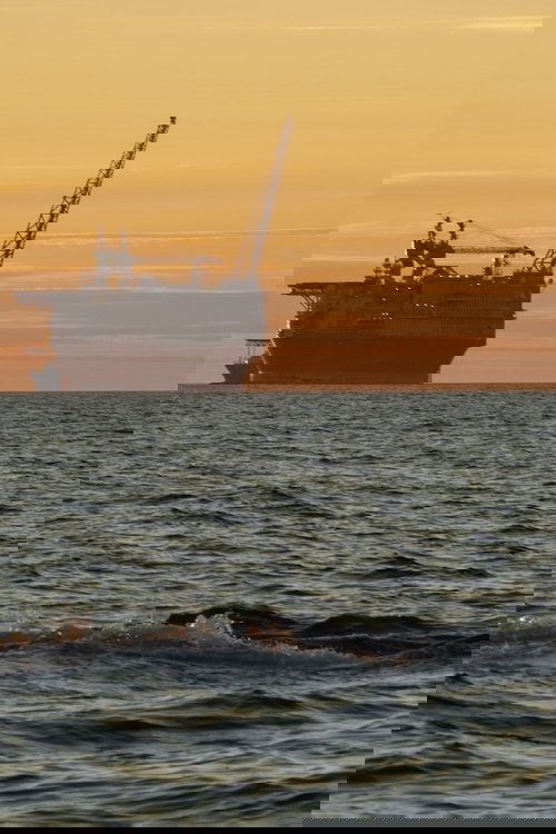 Barents Expedition (2019) poster