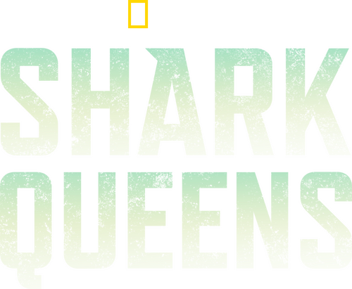 Shark Queens