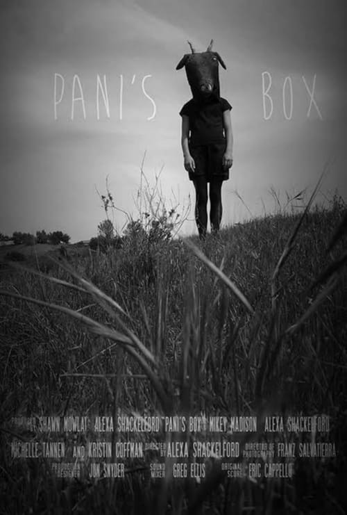 Pani's Box (2013) poster
