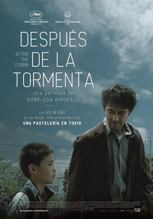 After the Storm poster