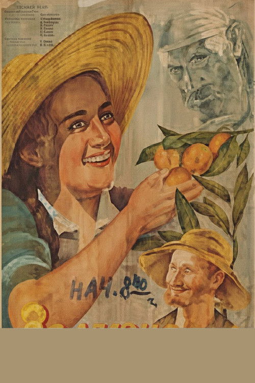 The Orange Valley poster