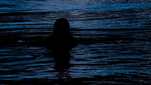 Metamorphosis' Chantings or That Time When I Incarnated as Porpoise