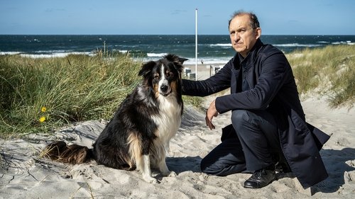 Épisode 7